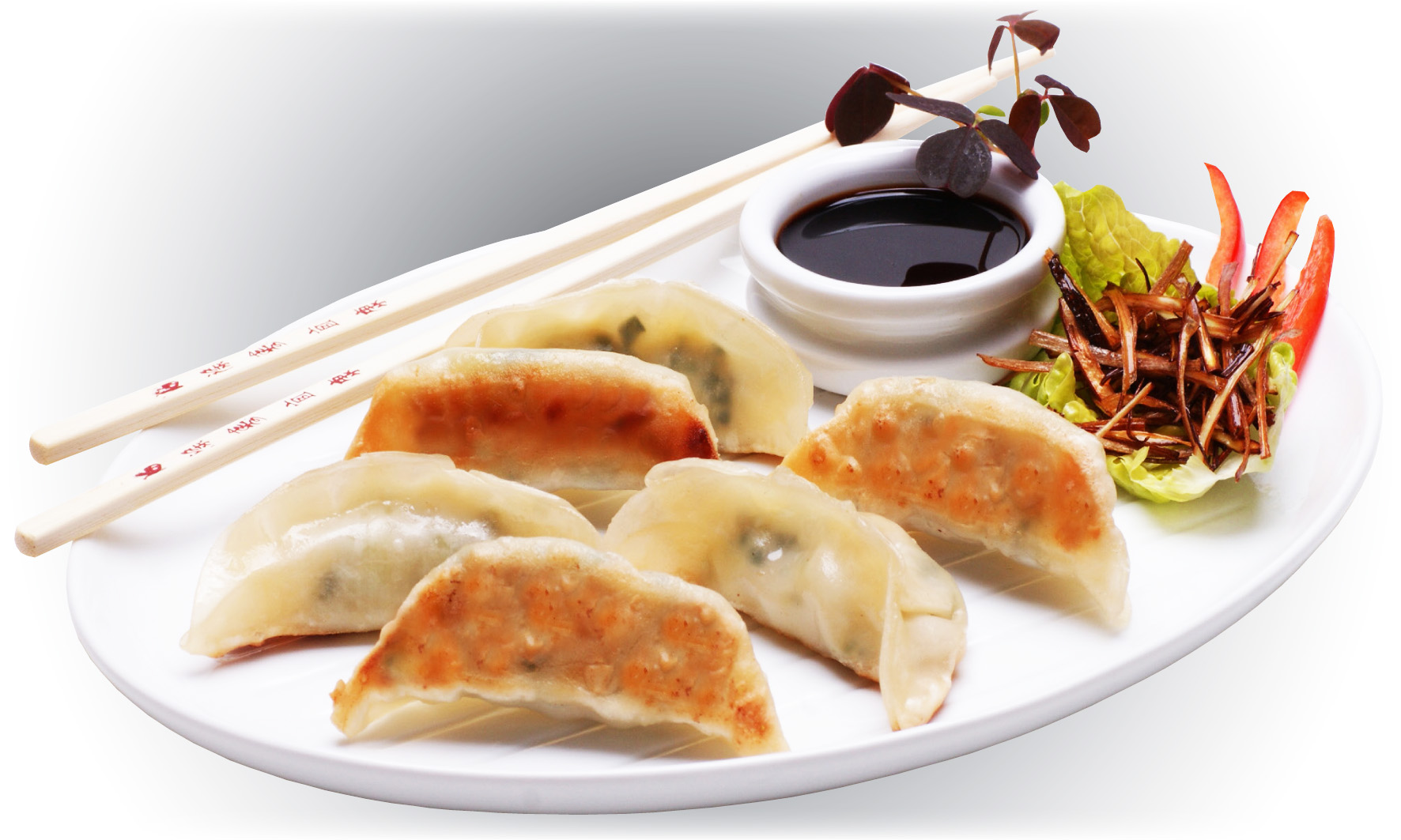 Gyoza