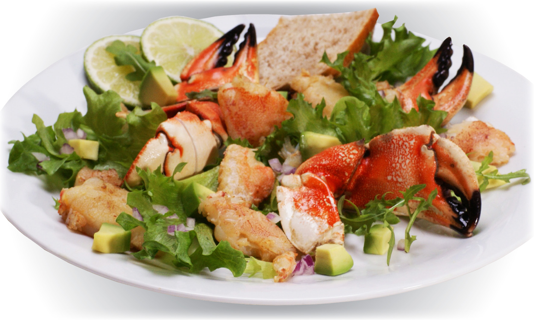 Recipes Salad with Jonah crab claws
